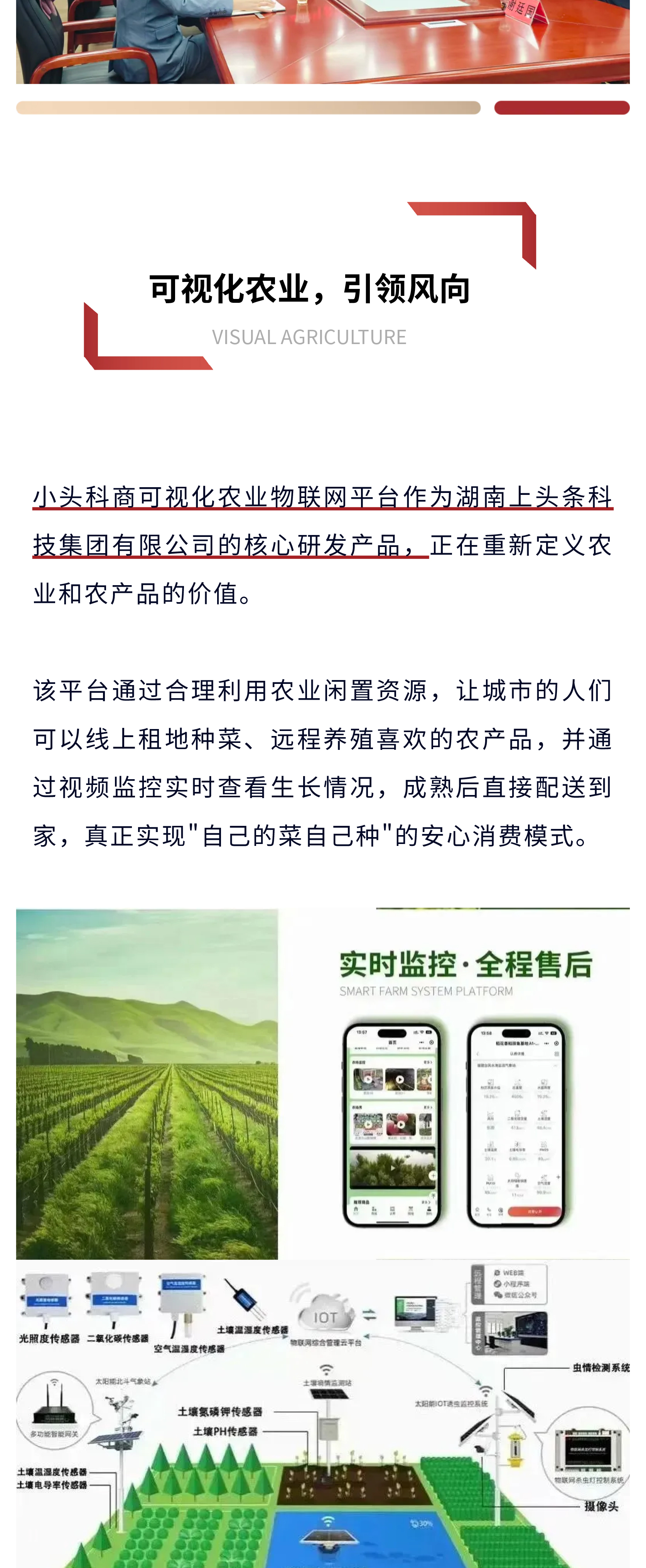 灵沙_04.jpg