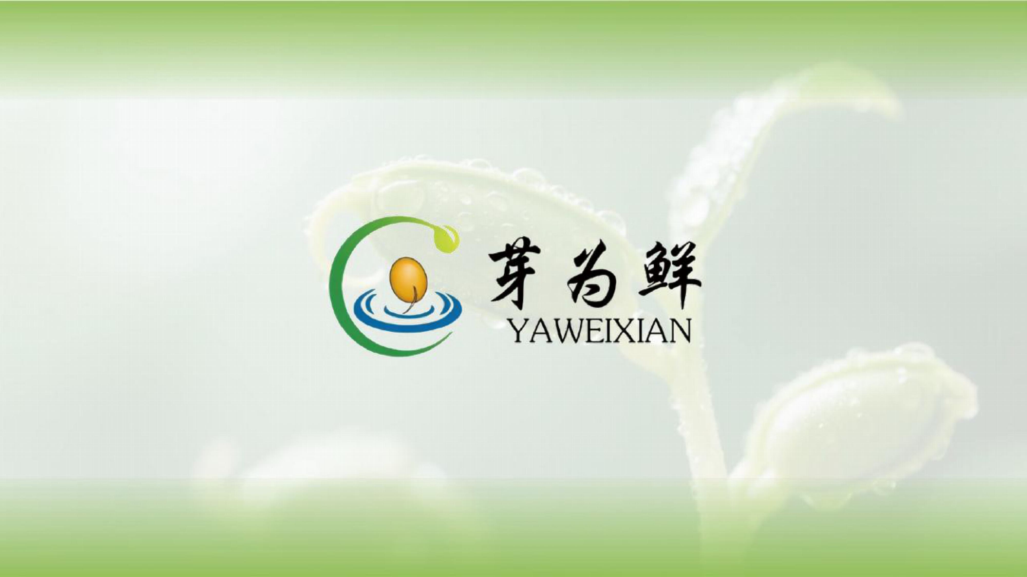 品牌案例集(2)-图片-15.jpg