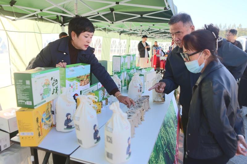 标杆案例｜镇赉茭白：从盐碱地到 "单品极致化" 的特色产业样本